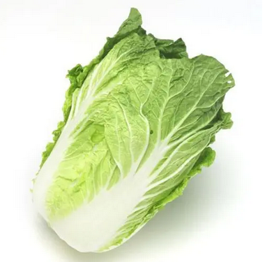 大(dà)白(bái)菜